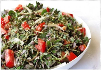 Domatesli Semizotu Salatası Tarifi ve Malzemeleri