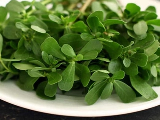 Semizotu Tohumu Faydaları Nelerdir?